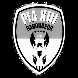 Logo Pia XIII